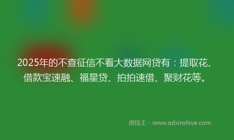 2025年的不查征信不看大数据网贷有：提取花、借款宝速融、福星贷、拍拍速借、聚财花等。