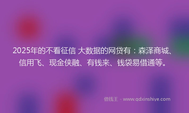 2025年的不看征信 大数据的网贷有：森泽商城、信用飞、现金侠融、有钱来、钱袋易借通等。