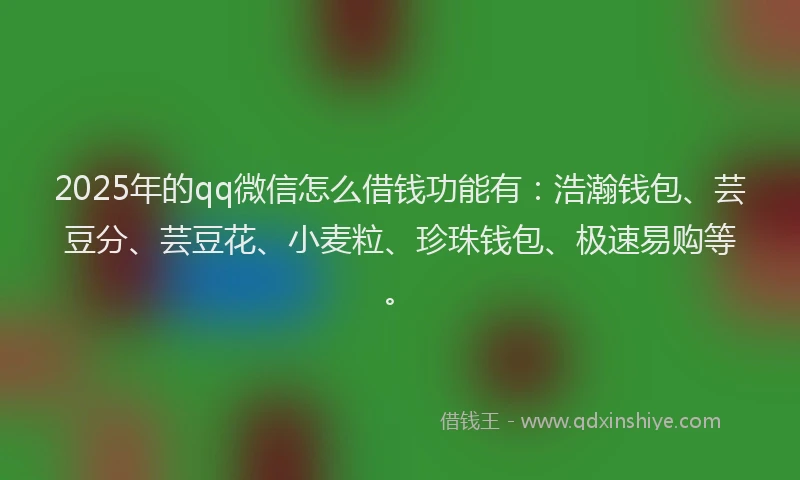 2025年的qq微信怎么借钱功能有：浩瀚钱包、芸豆分、芸豆花、小麦粒、珍珠钱包、极速易购等。