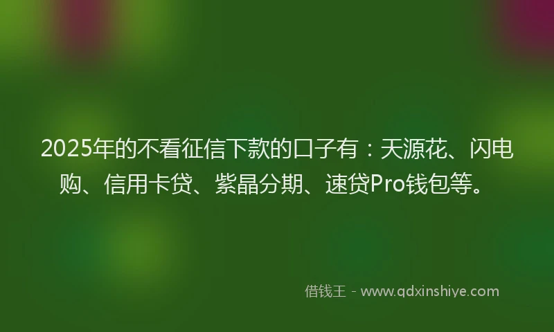 2025年的不看征信下款的口子有：天源花、闪电购、信用卡贷、紫晶分期、速贷Pro钱包等。