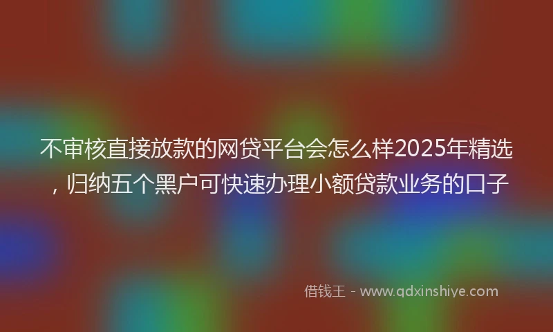 不审核直接放款的网贷平台会怎么样2025年精选，归纳五个黑户可快速办理小额贷款业务的口子