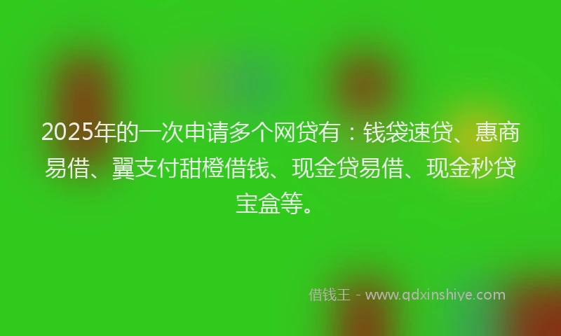 2025年的一次申请多个网贷有：钱袋速贷、惠商易借、翼支付甜橙借钱、现金贷易借、现金秒贷宝盒等。