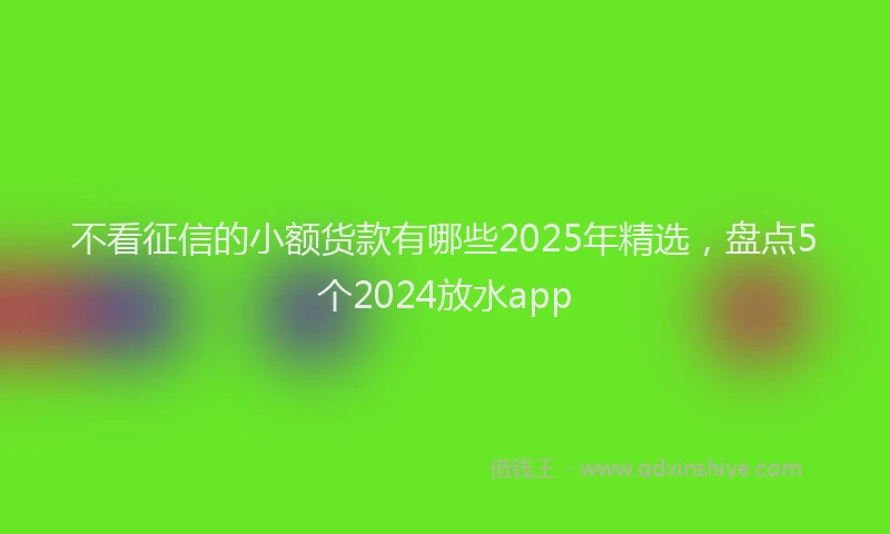 不看征信的小额货款有哪些2025年精选，盘点5个2024放水app