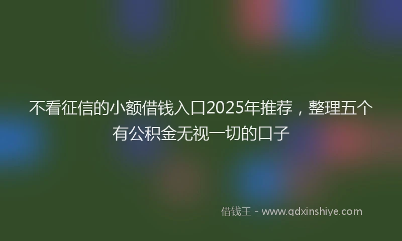 不看征信的小额借钱入口2025年推荐，整理五个有公积金无视一切的口子
