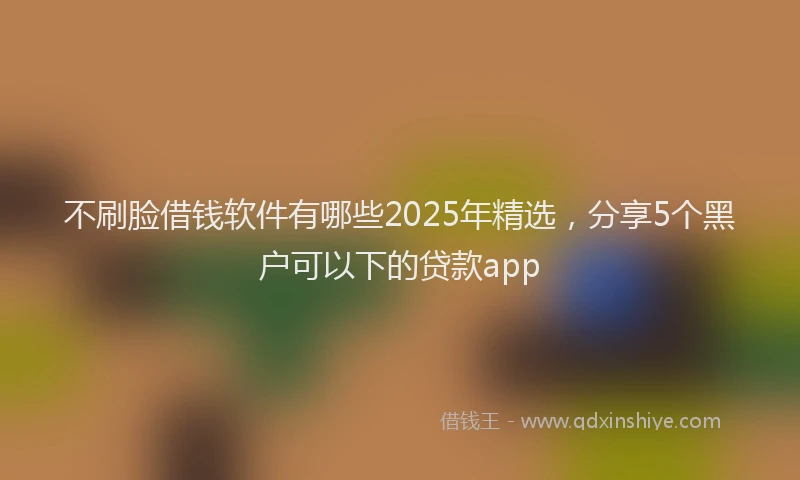 不刷脸借钱软件有哪些2025年精选，分享5个黑户可以下的贷款app