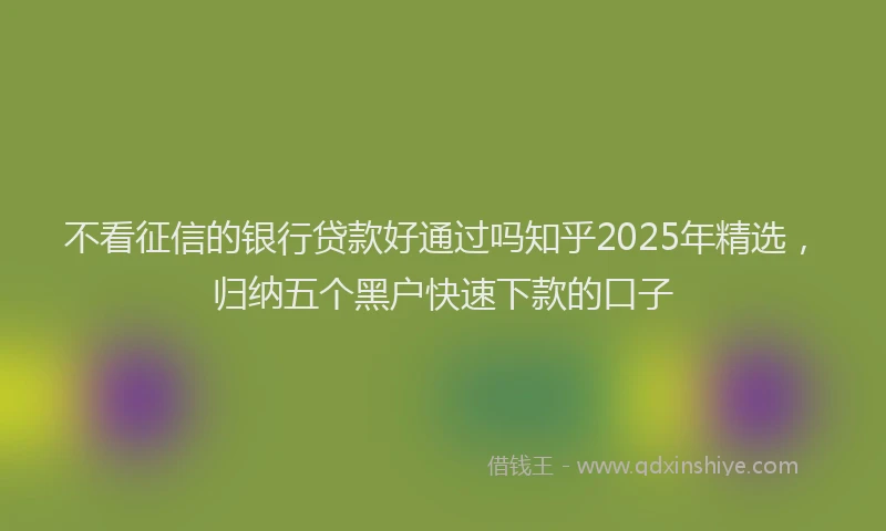 不看征信的银行贷款好通过吗知乎2025年精选，归纳五个黑户快速下款的口子