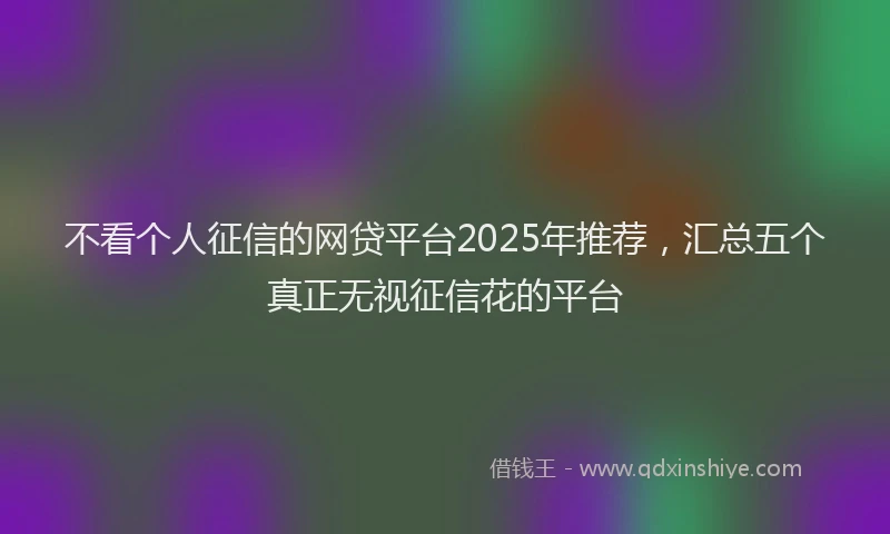 不看个人征信的网贷平台2025年推荐，汇总五个真正无视征信花的平台