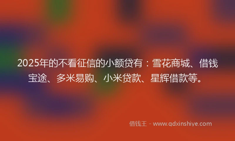 2025年的不看征信的小额贷有：雪花商城、借钱宝途、多米易购、小米贷款、星辉借款等。