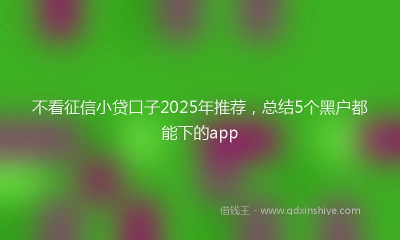 不看征信小贷口子2025年推荐，总结5个黑户都能下的app