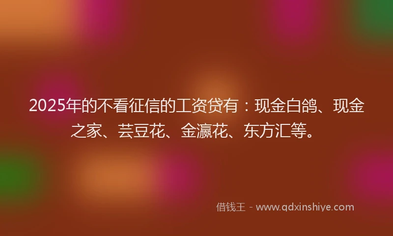 2025年的不看征信的工资贷有：现金白鸽、现金之家、芸豆花、金瀛花、东方汇等。