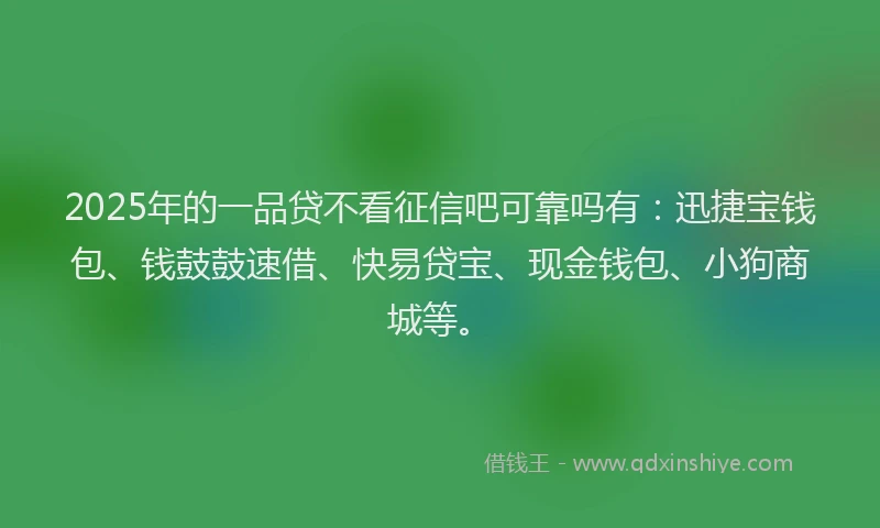 2025年的一品贷不看征信吧可靠吗有：迅捷宝钱包、钱鼓鼓速借、快易贷宝、现金钱包、小狗商城等。