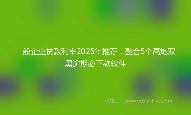 一般企业贷款利率2025年推荐，整合5个高炮双黑逾期必下款软件