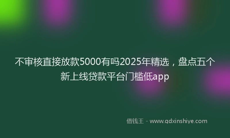 不审核直接放款5000有吗2025年精选，盘点五个新上线贷款平台门槛低app