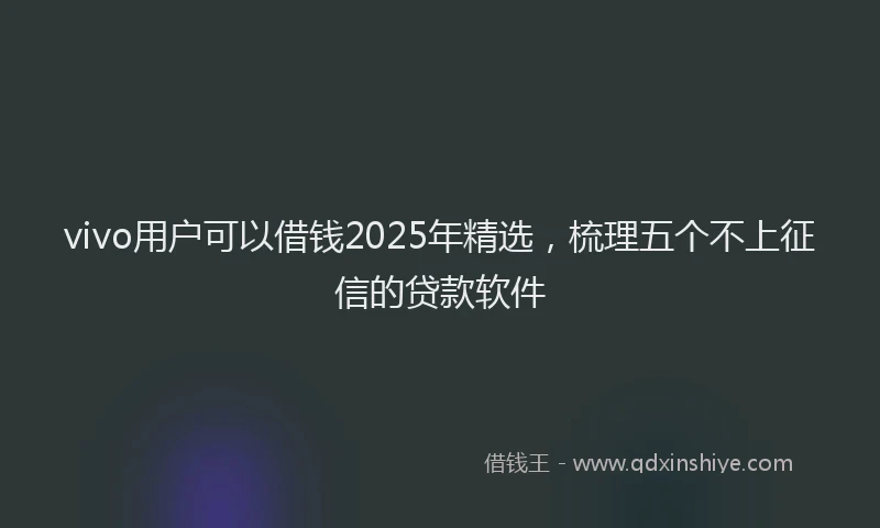 vivo用户可以借钱2025年精选，梳理五个不上征信的贷款软件