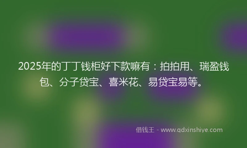 2025年的丁丁钱柜好下款嘛有：拍拍用、瑞盈钱包、分子贷宝、喜米花、易贷宝易等。