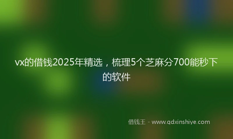 vx的借钱2025年精选,梳理5个芝麻分700能秒下的软件