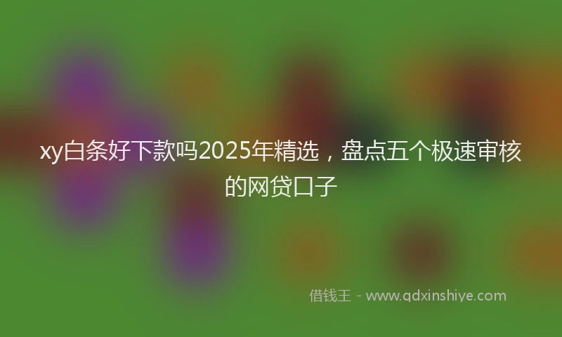 xy白条好下款吗2025年精选，盘点五个极速审核的网贷口子