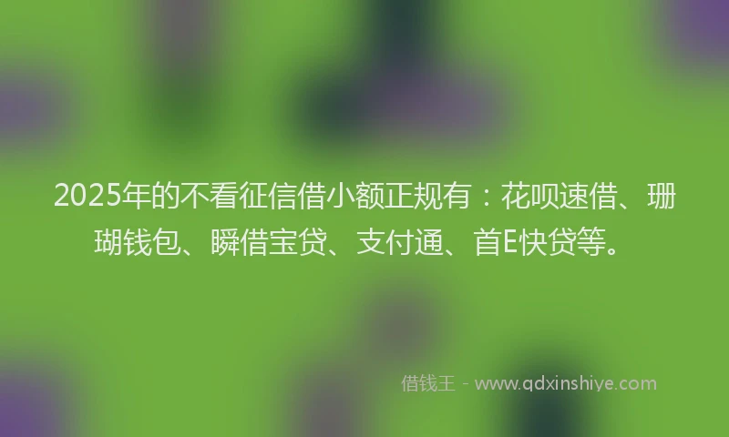 2025年的不看征信借小额正规有：花呗速借、珊瑚钱包、瞬借宝贷、支付通、首E快贷等。