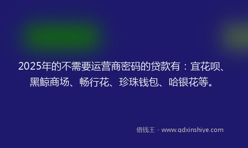 2025年的不需要运营商密码的贷款有：宜花呗、黑鲸商场、畅行花、珍珠钱包、哈银花等。