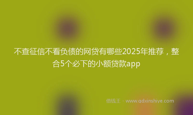 不查征信不看负债的网贷有哪些2025年推荐，整合5个必下的小额贷款app