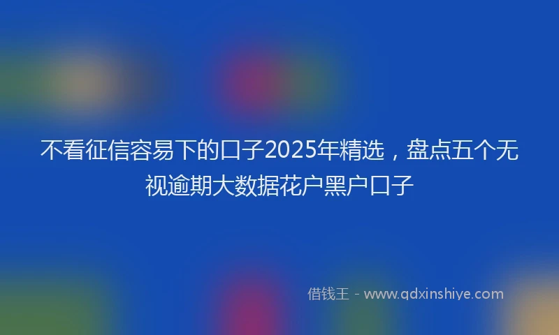 不看征信容易下的口子2025年精选，盘点五个无视逾期大数据花户黑户口子