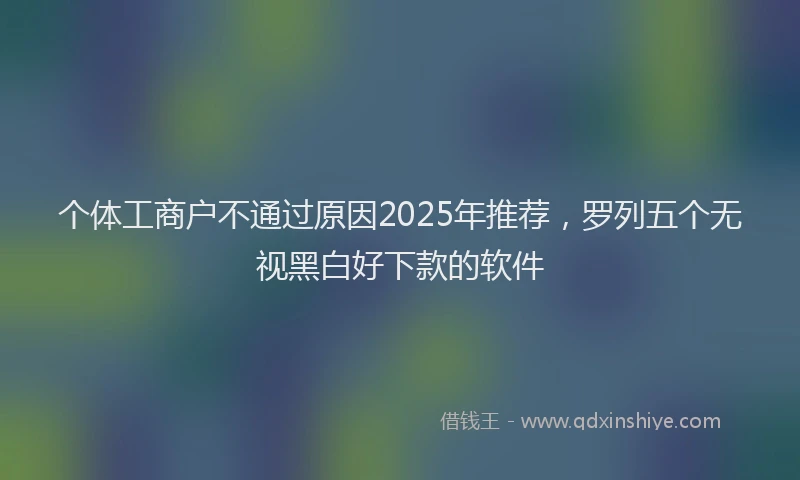 个体工商户不通过原因2025年推荐，罗列五个无视黑白好下款的软件
