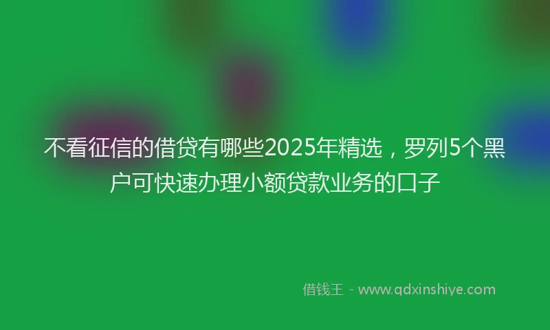 不看征信的借贷有哪些2025年精选，罗列5个黑户可快速办理小额贷款业务的口子