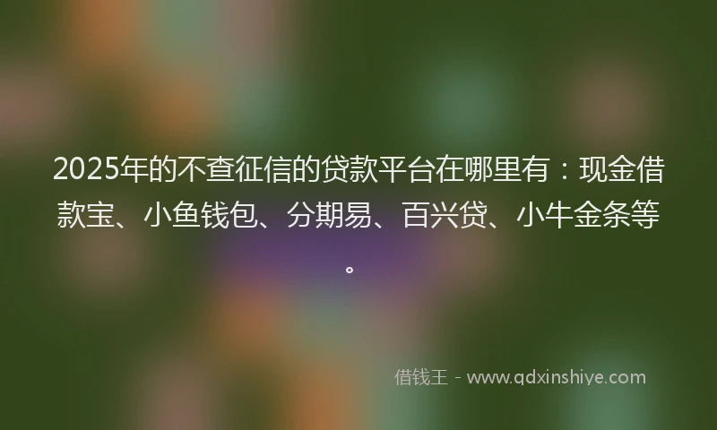 2025年的不查征信的贷款平台在哪里有：现金借款宝、小鱼钱包、分期易、百兴贷、小牛金条等。