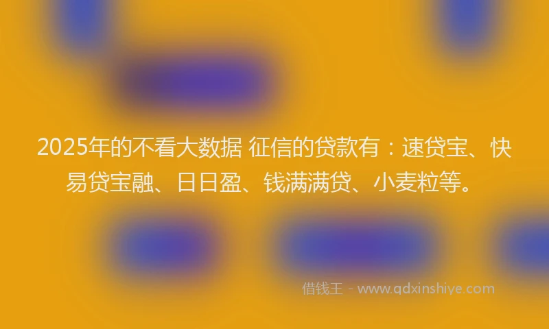 2025年的不看大数据 征信的贷款有：速贷宝、快易贷宝融、日日盈、钱满满贷、小麦粒等。