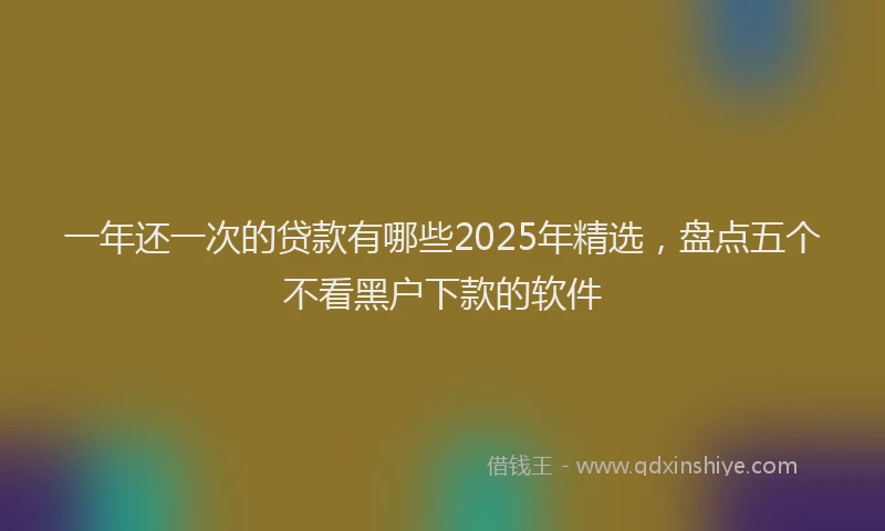 一年还一次的贷款有哪些2025年精选，盘点五个不看黑户下款的软件