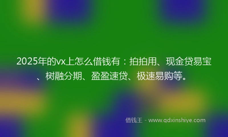 2025年的vx上怎么借钱有:拍拍用、现金贷易宝、树融分期、盈盈速贷、极速易购等。