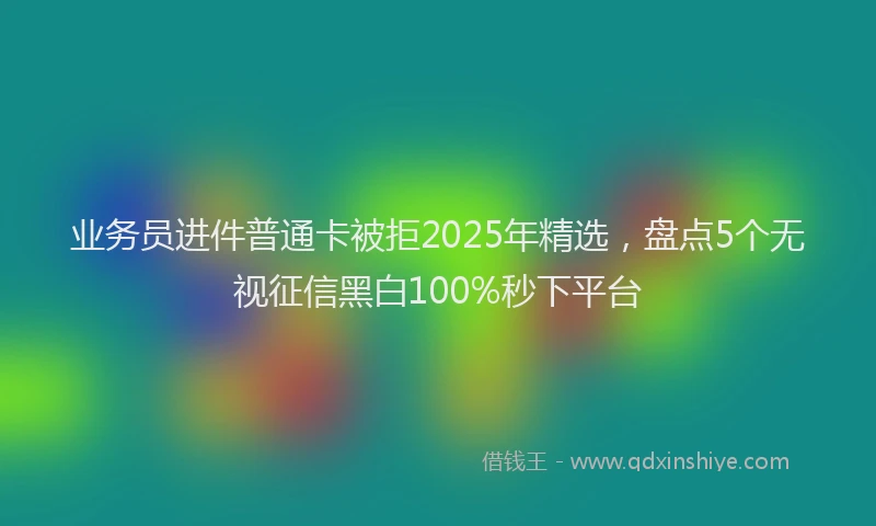 业务员进件普通卡被拒2025年精选，盘点5个无视征信黑白100%秒下平台