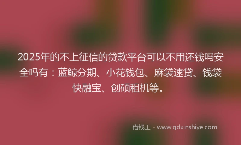 2025年的不上征信的贷款平台可以不用还钱吗安全吗有：蓝鲸分期、小花钱包、麻袋速贷、钱袋快融宝、创硕租机等。