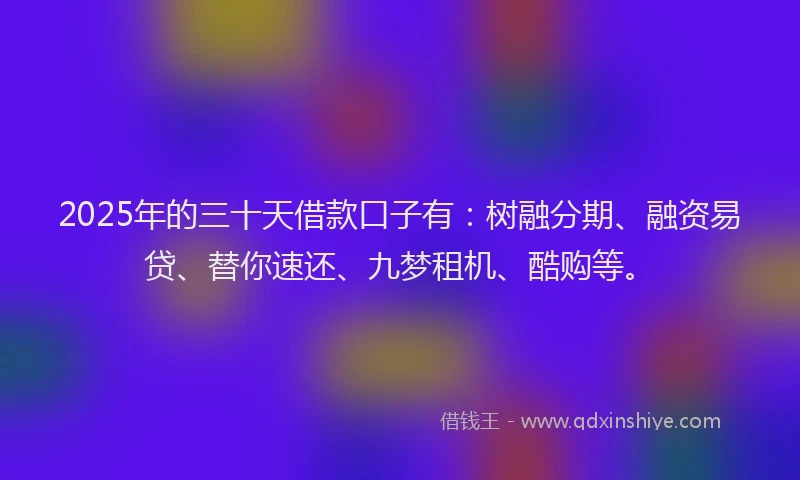 2025年的三十天借款口子有：树融分期、融资易贷、替你速还、九梦租机、酷购等。