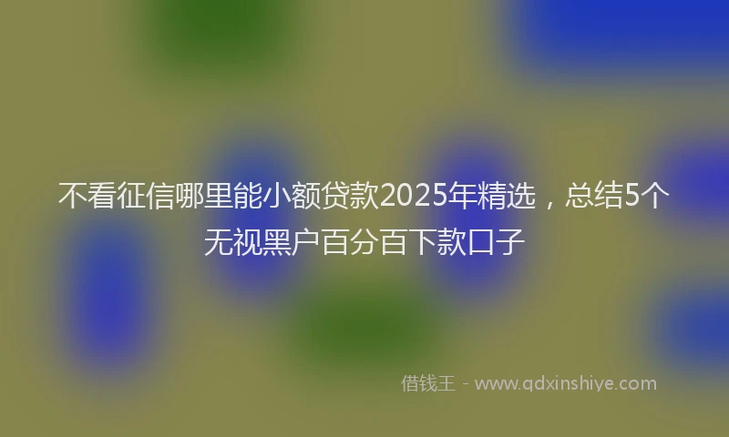 不看征信哪里能小额贷款2025年精选，总结5个无视黑户百分百下款口子