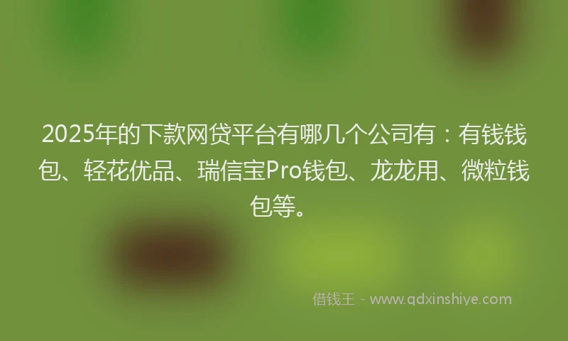 2025年的下款网贷平台有哪几个公司有：有钱钱包、轻花优品、瑞信宝Pro钱包、龙龙用、微粒钱包等。