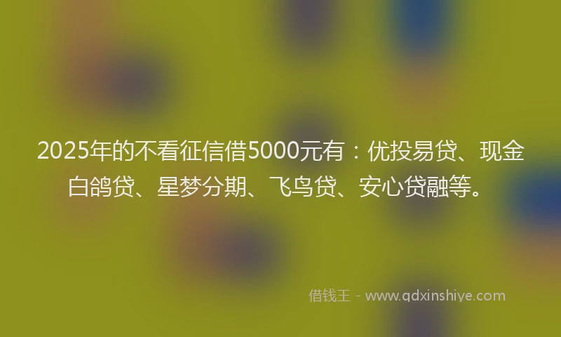 2025年的不看征信借5000元有：优投易贷、现金白鸽贷、星梦分期、飞鸟贷、安心贷融等。