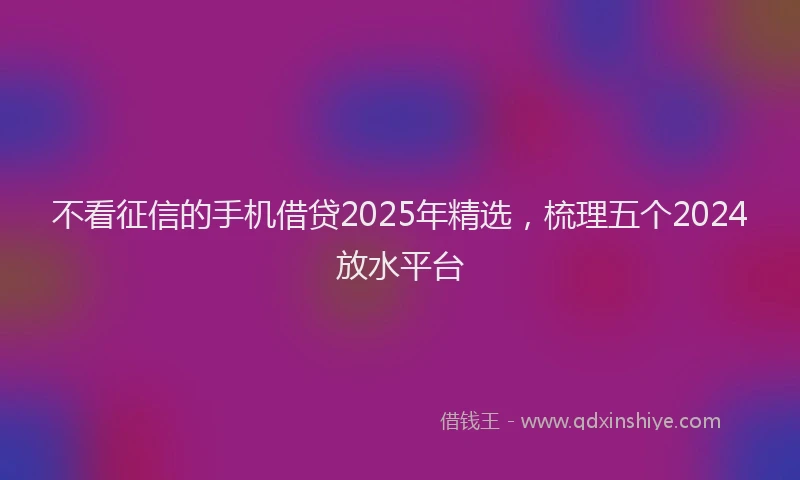 不看征信的手机借贷2025年精选，梳理五个2024放水平台