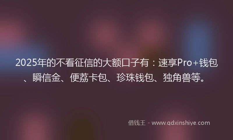 2025年的不看征信的大额口子有：速享Pro+钱包、瞬信金、便荔卡包、珍珠钱包、独角兽等。