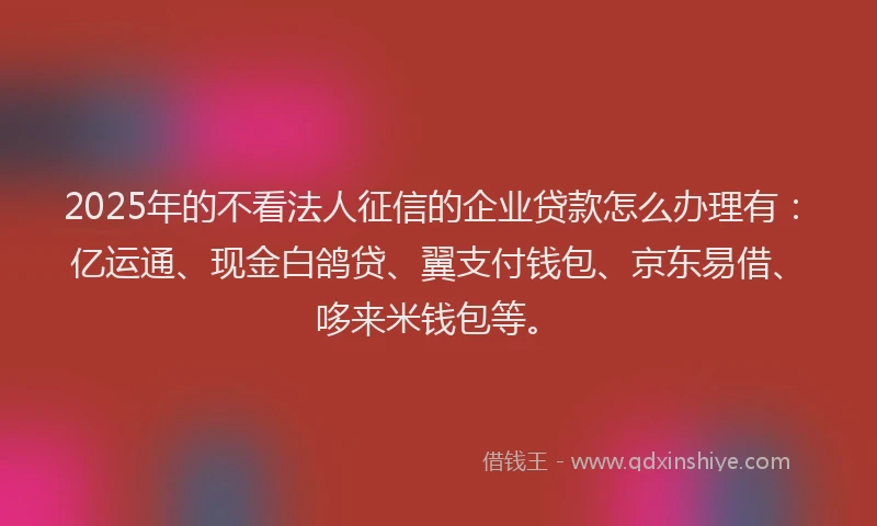 2025年的不看法人征信的企业贷款怎么办理有：亿运通、现金白鸽贷、翼支付钱包、京东易借、哆来米钱包等。