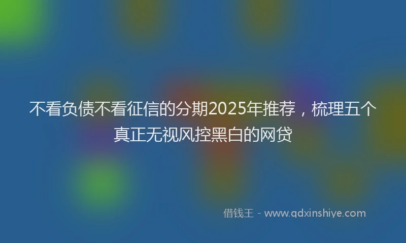 不看负债不看征信的分期2025年推荐，梳理五个真正无视风控黑白的网贷