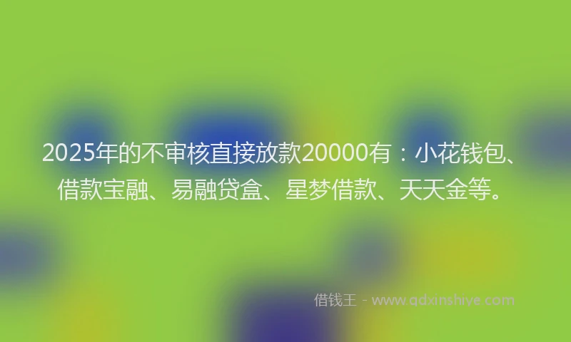 2025年的不审核直接放款20000有：小花钱包、借款宝融、易融贷盒、星梦借款、天天金等。