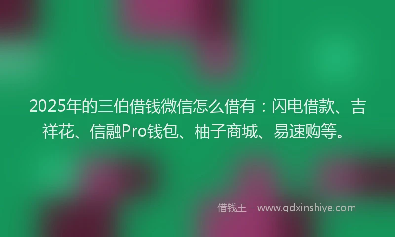 2025年的三伯借钱微信怎么借有：闪电借款、吉祥花、信融Pro钱包、柚子商城、易速购等。