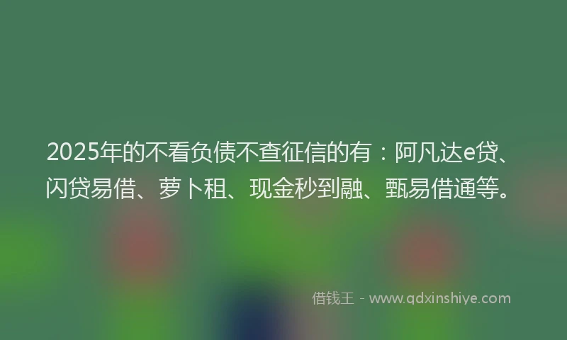 2025年的不看负债不查征信的有：阿凡达e贷、闪贷易借、萝卜租、现金秒到融、甄易借通等。