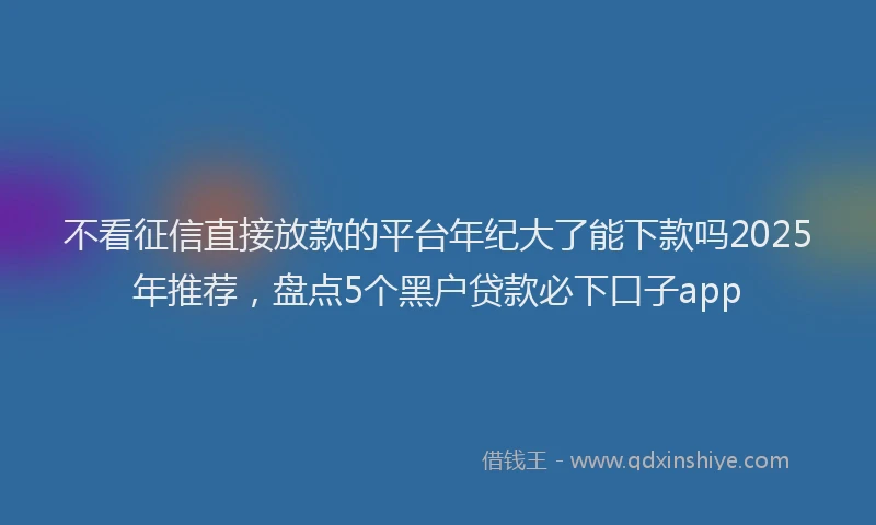 不看征信直接放款的平台年纪大了能下款吗2025年推荐，盘点5个黑户贷款必下口子app