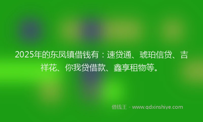 2025年的东凤镇借钱有：速贷通、琥珀信贷、吉祥花、你我贷借款、鑫享租物等。