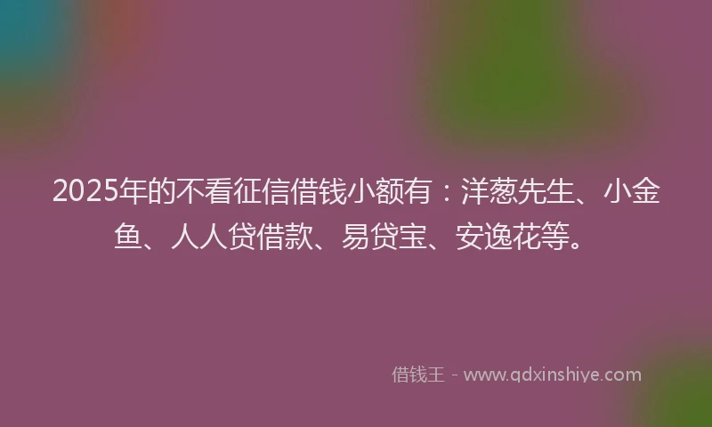 2025年的不看征信借钱小额有：洋葱先生、小金鱼、人人贷借款、易贷宝、安逸花等。