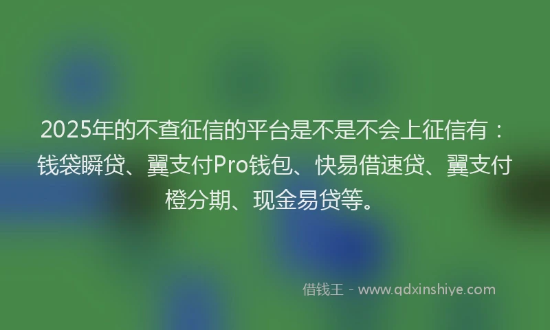 2025年的不查征信的平台是不是不会上征信有：钱袋瞬贷、翼支付Pro钱包、快易借速贷、翼支付橙分期、现金易贷等。