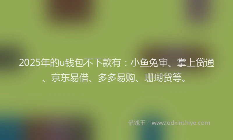 2025年的u钱包不下款有：小鱼免审、掌上贷通、京东易借、多多易购、珊瑚贷等。