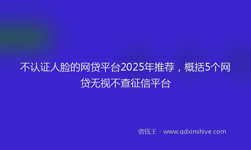 不认证人脸的网贷平台2025年推荐，概括5个网贷无视不查征信平台